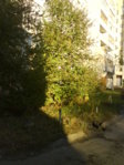 DSC00016.JPG