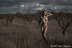 med_gallery_40_322_210765.jpg