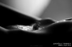 1354224066_2 - копия.jpg