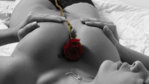 girl-with-a-rose-wallpaper-1366x768.jpg