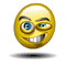 icon_megaauge.gif