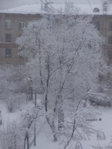зима4.jpg