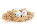 TENGA EGG.jpg