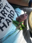 20150716_135455.jpg 20150716_135455.jpg