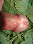 DSC08809.JPG