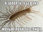 1395992670_1626246294.jpg