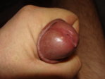 DSC09096.JPG