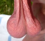 vN1JYW77J8DmPsuT8Y3fLow Hangers_m.jpg