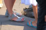 DSC08117.jpg