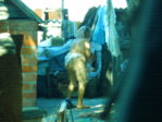 FIL55480.JPG