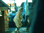 FIL55485.JPG