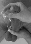08b19542e8.gif