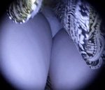 2016 comp 8 - 25-0-00-15-651.jpg