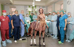Operating-8753.jpg
