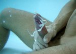 f1ef8caa2fd2bafdf1f83e47e393cb1c.jpg