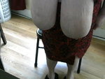 939_1000.jpg