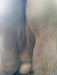 136_1000.jpg