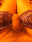 1516369493552-155527215.jpg