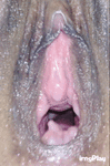 000_up_close.gif