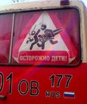 1305235154_1053.jpg
