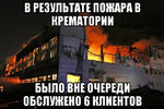 12.jpg 12.jpg