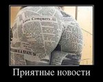 c817875c69.jpg