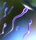 impregnate.jpg