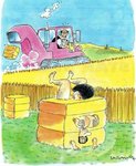 FB_IMG_1533575295819.jpg