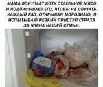 FB_IMG_1540237575711.jpg