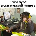 FB_IMG_1538325397902.jpg