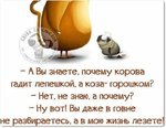 FB_IMG_1545121680059.jpg