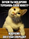 FB_IMG_1544017406308.jpg