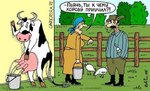 FB_IMG_1544017685477.jpg