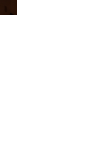 Питач1.gif