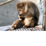IMG_20211010_112242.png