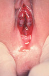 952932_954024_1457.jpg