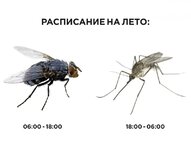1654535856323.jpeg