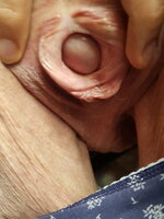 333_1000.jpg