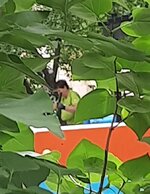 VideoCapture_20220623-103401.jpg