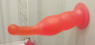 IMG_20221006_190102.jpg