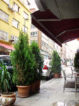 PB100015.jpg