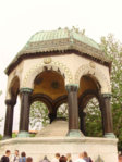 PB100088.jpg