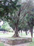 PB100214.jpg