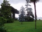 PB110371.jpg