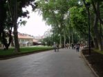 PB120460.jpg