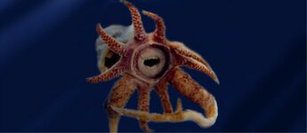 {DACBE48B-73A3-4BC4-8B04-F2FF1021711D}.png.jpg