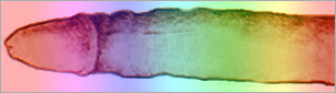 1695575746314.png 1695575746314.png