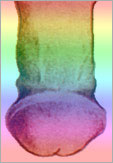 1695575757143.png 1695575757143.png