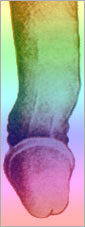 1695575952193.png 1695575952193.png