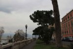 IMG_1347.JPG